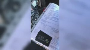 Видео в ДЕНЬ отправки