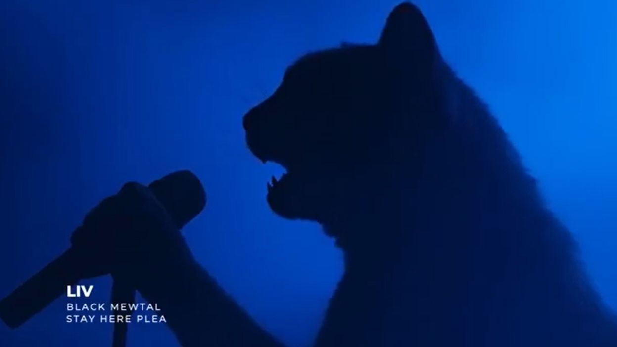 Black Mewtal - Stay Here Please Live at ROCK meow RING смотреть онлайн