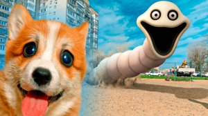 ОГРОМНЫЙ ГОЛОДНЫЙ ЧЕРВЬ НАПАЛ НА НАС!! Корги Коржик Говорящая собака