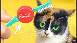 6 ЛАЙФХАКОВ от SLIVKISHOW