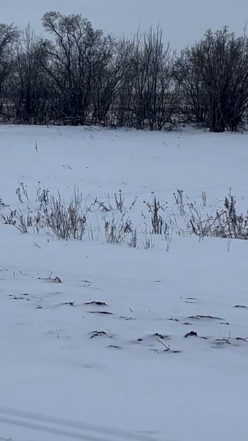 Открываем сезон охоты в 2022!