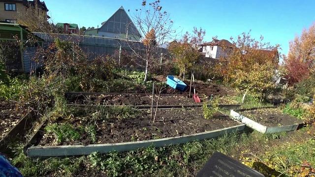 Влог от 14.10.2021 смотреть онлайн