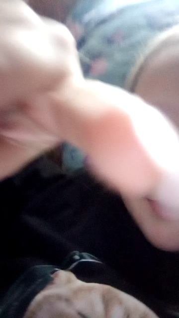 VID_20251126_124356.mp4