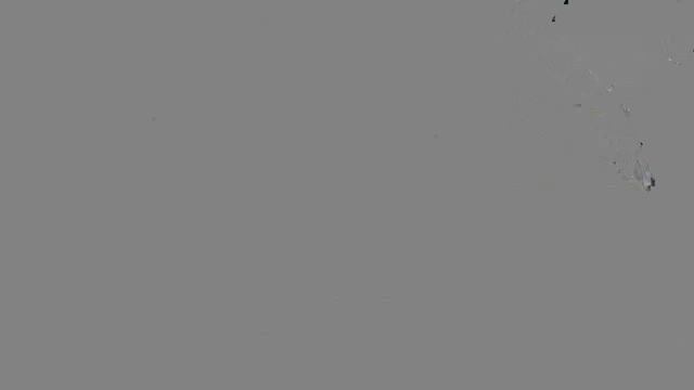 IPCamera 10_-_20251118195223_20251118195429_1_1G