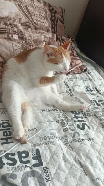 1000040424.mp4 смотреть онлайн