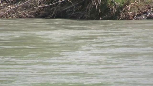 Голоса Природы