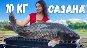 3 Блюда из Огромного 10КГ САЗАНА! Вот как нужно готовить рыбу незабываемо вкусно