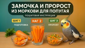 Как сделать замочку и пророст для попугая