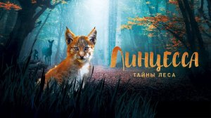 Линцесса. Тайны леса
