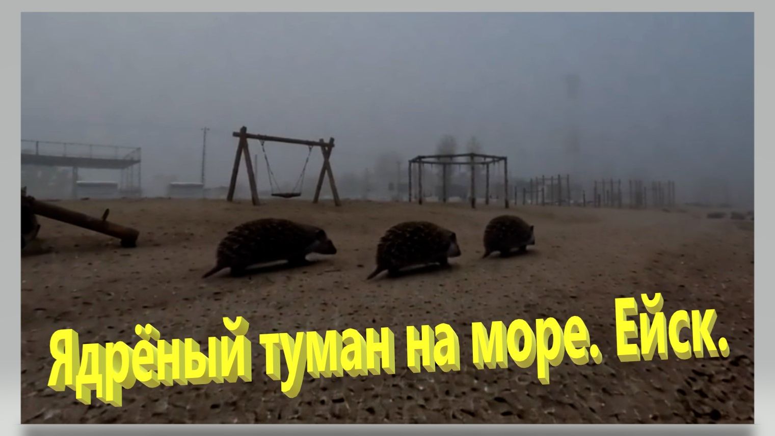Как ёжики в тумане. Ядрёный туман на Ейской косе. Вода как стекло. И море медуз. смотреть онлайн