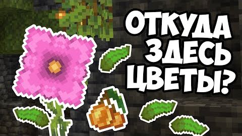 ПОЧЕМУ В ШАХТЕ ПОЯВЛЯЮТСЯ РАСТЕНИЯ Майнкрафт смотреть онлайн