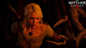 Ведьмак 3 - Выбор Трисс #18 - Лысая гора