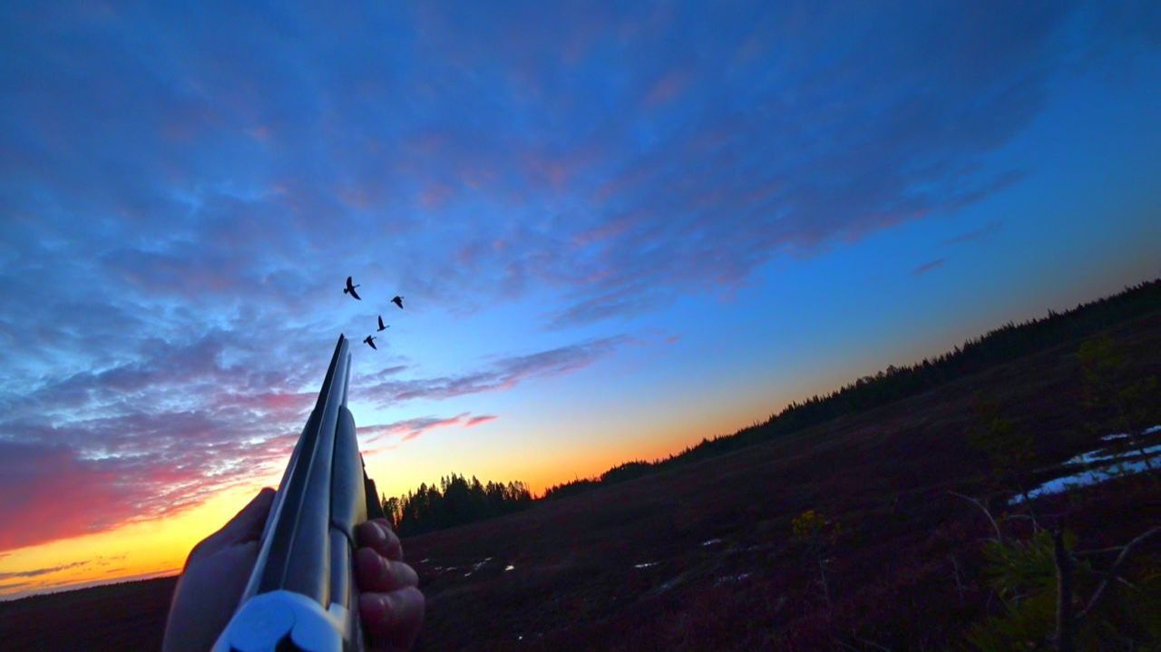 Охота на Гуся и Утку. Лучшие Моменты 2025г. смотреть онлайн