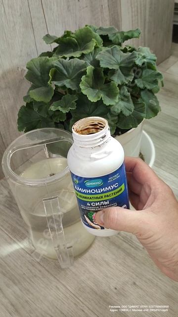 Герань выпустит 100 цветоносов, если поливать её этим... смотреть онлайн