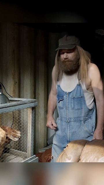 Проклятие ошибки Y2K смотреть онлайн