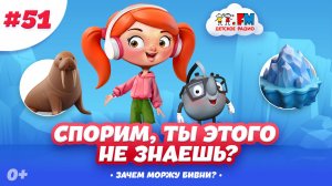 Как узнать самого главного моржа? Спорим, ты этого не знал? #детскоерадио #детям #моржи #мульт
