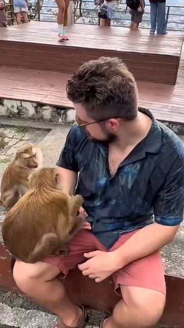 Яже Говорила (720p) смотреть онлайн