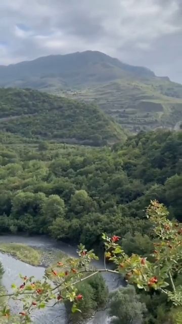 Красота дидоэтия смотреть онлайн