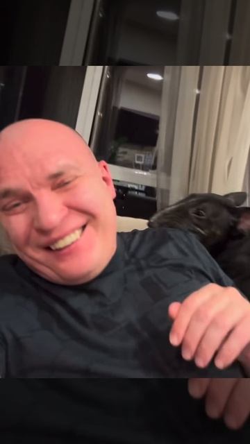 На Андрея Разина напала собака 😂 смотреть онлайн