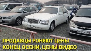 ПРОДАВЦЫ РОНЯЮТ ЦЕНЫ ПЕРЕД ПОДНЯТИЕМ УТИЛЬСБОРА, АВТОРЫНОК ВЛАДИВОСТОК