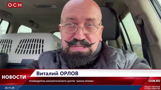 Спасение или жестокость смотреть онлайн