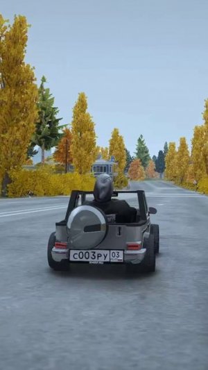 ПОГОНЯ от ПЯТИ ЭКИПАЖЕЙ ДПС на МИНИ ГЕЛИКЕ (GTA 5 RMRP)