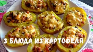 СРАЗУ ТРИ ОРИГИНАЛЬНЫХ БЛЮДА ИЗ КАРТОФЕЛЯ