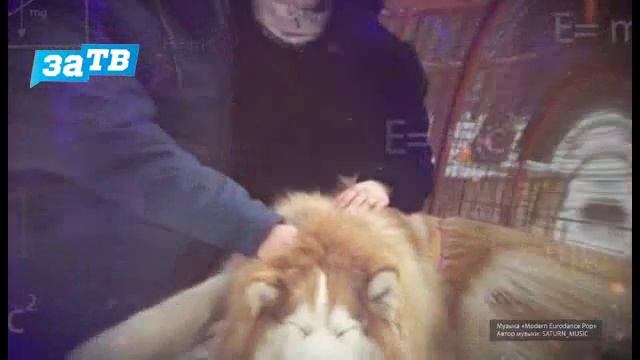 Страна Росатом. Эфир 25 смотреть онлайн