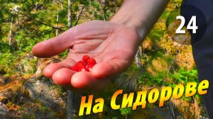 #24 Днёвка на Сидорове и местный Эверест  | Чупинская кругосветка 2025