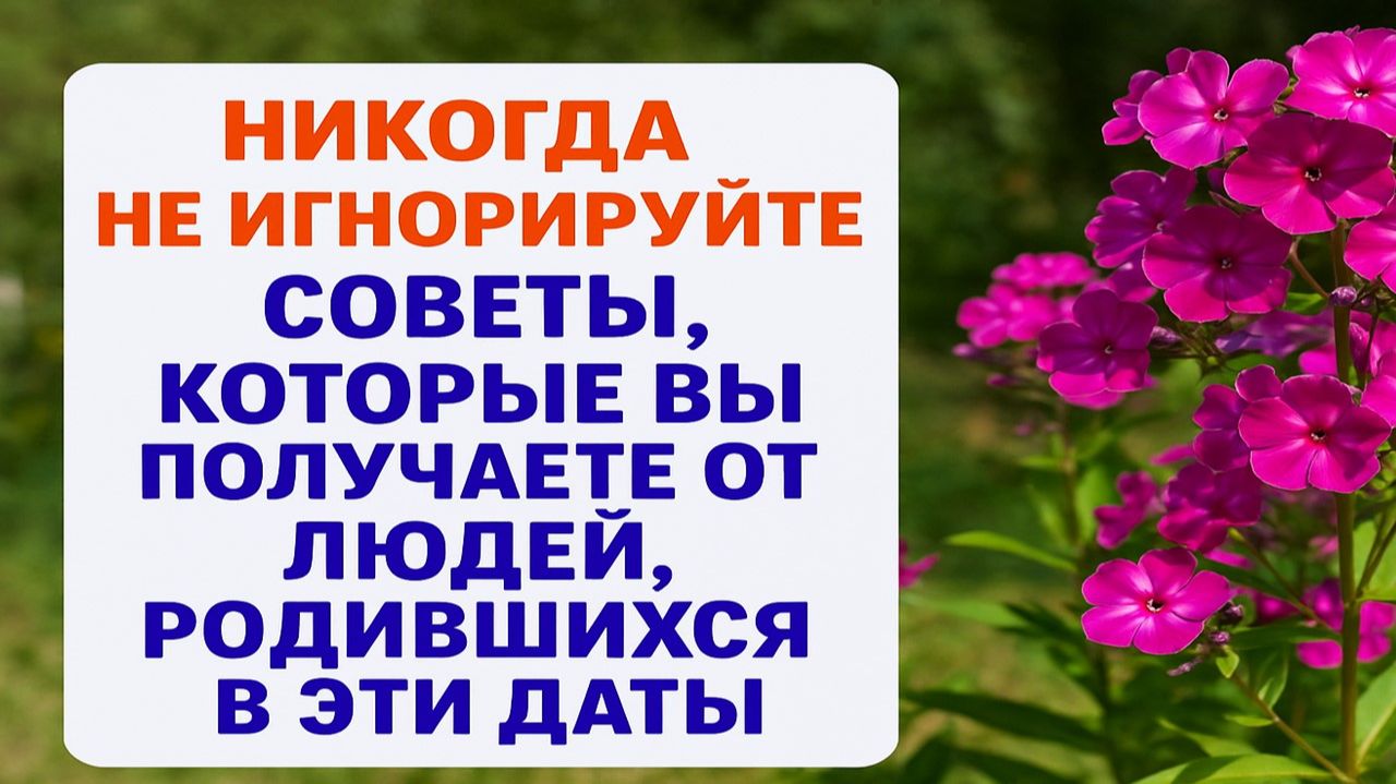 Никогда не игнорируйте советы людей, рождённых в эти даты - иначе потеряете всё смотреть онлайн