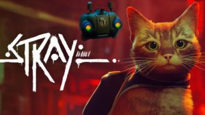 STRAY.(ПОЛНОЕ ПРОХОЖДЕНИЕ...)