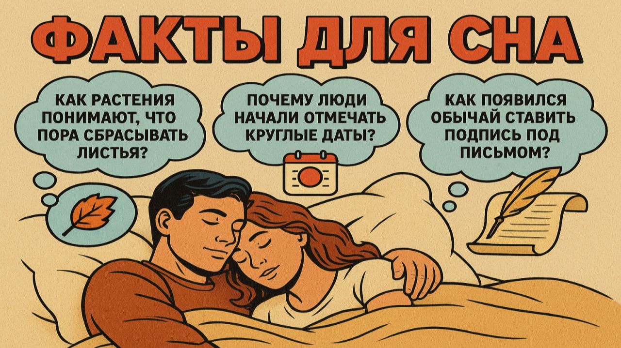 Факты для сна: ответы на вопросы, которые приходят перед сном №51 смотреть онлайн