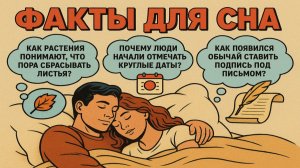 Факты для сна: ответы на вопросы, которые приходят перед сном №51