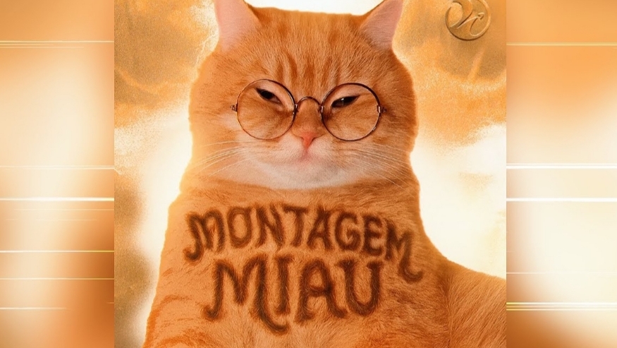 LENAR - MONTAGEM MIAU - SLOWED - Full version - PHONK смотреть онлайн