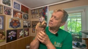 Финик УМИРАЕТ Мы встретили девочку, которую просто хотелось расцеловать)))