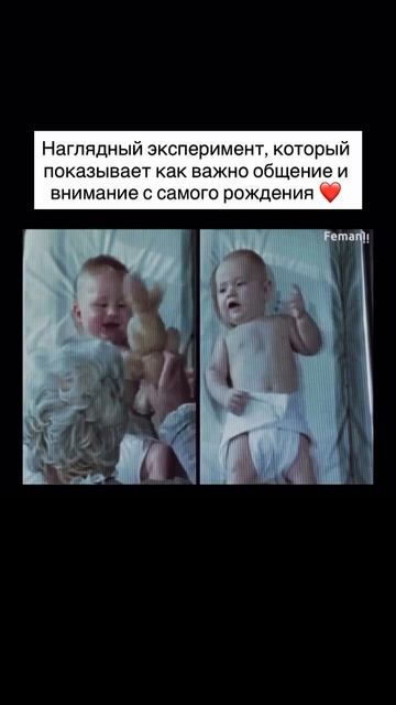 21 ноября 2025 г.