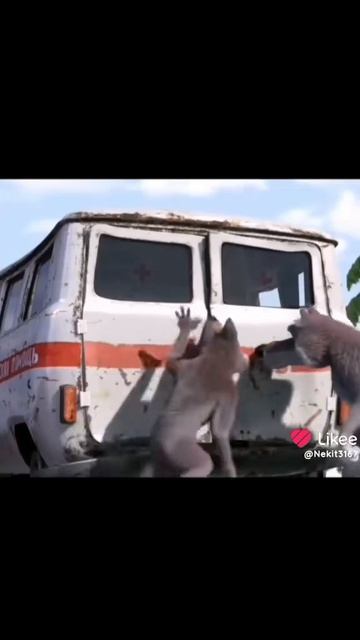 1000001941.mp4 смотреть онлайн