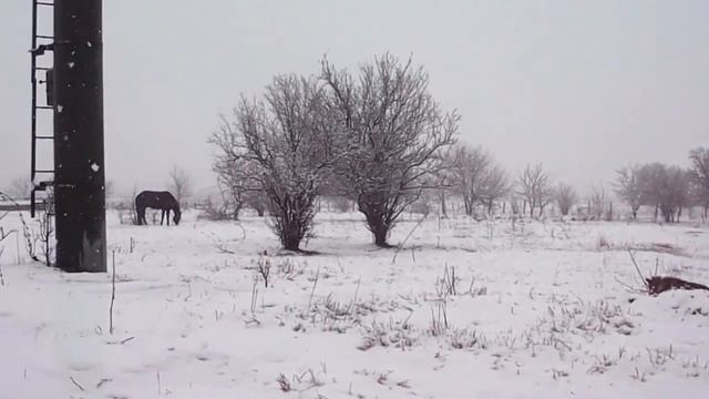 Прощальный поцелуй зимы