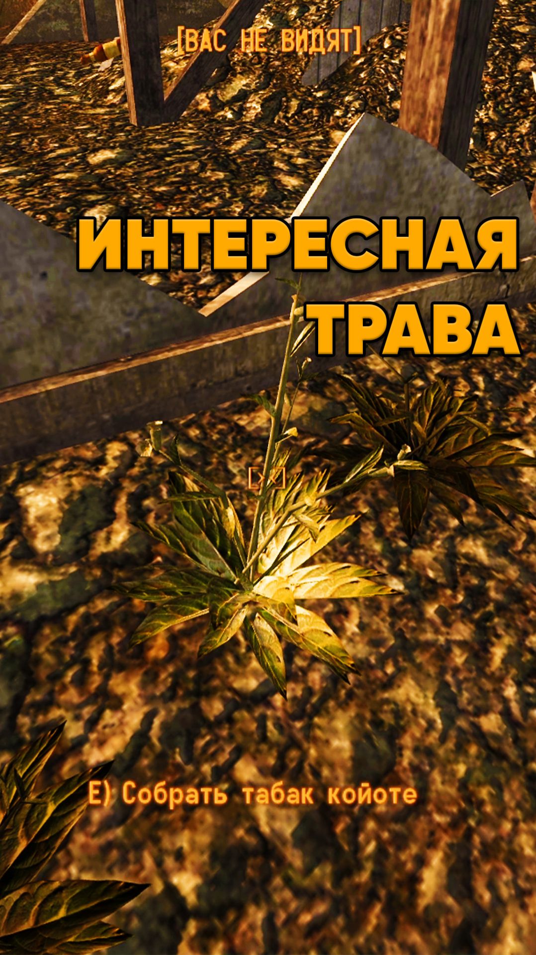 Табак в Fallout New Vegas смотреть онлайн