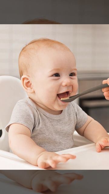 Ложка для кормления и прикорма малышей набор 2 шт KUNDER смотреть онлайн