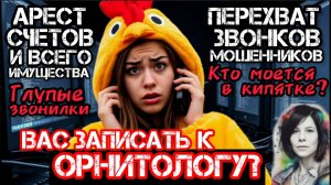 Перехваты. Фрод рулетка/ Нюша/Антимошенники