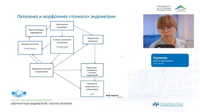 Аберрантный эндометрий.Тактика лечения