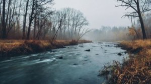 Не жалею, не зову, не плачу...(С. Есенин). Music AI, Suno AI.