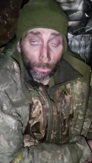 напуганный свин рассказывает о том как попал в плен