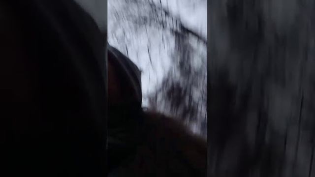 еду домой после школы