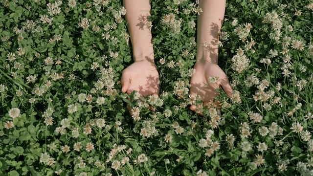 Красота в цветах смотреть онлайн