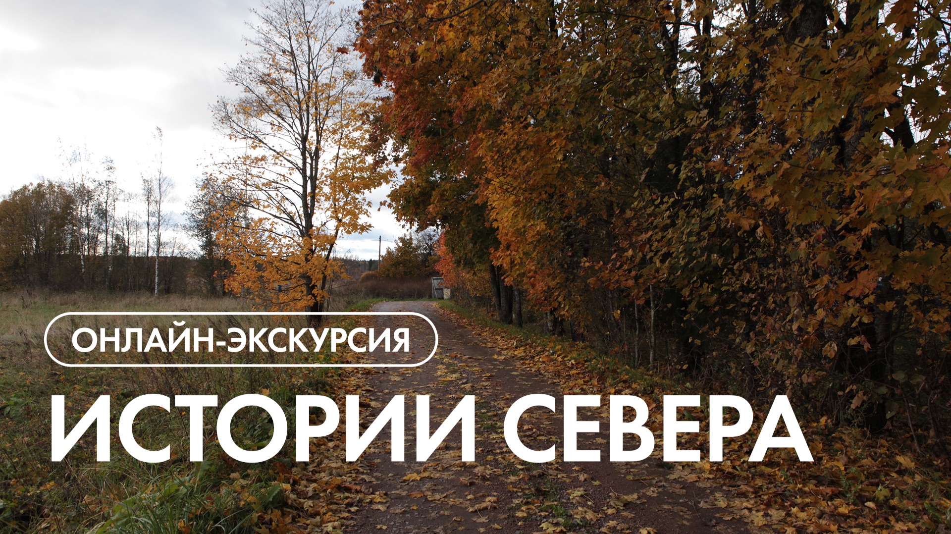 Онлайн-экскурсия по посёлку 