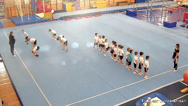 Оздоровительная гимнастика смотреть онлайн