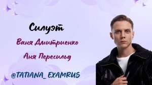 Средства выразительности в песне Вани Дмитриенко «Силуэт»