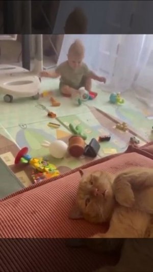 Котик, я иду тебя любить ❤️